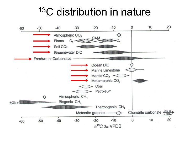 13 C distribution in nature 