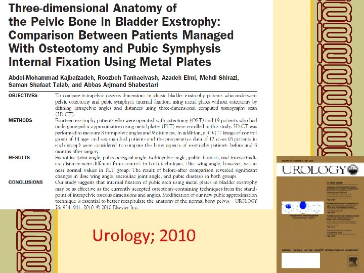 Urology; 2010 