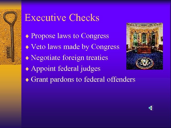 Executive Checks ¨ Propose laws to Congress ¨ Veto laws made by Congress ¨