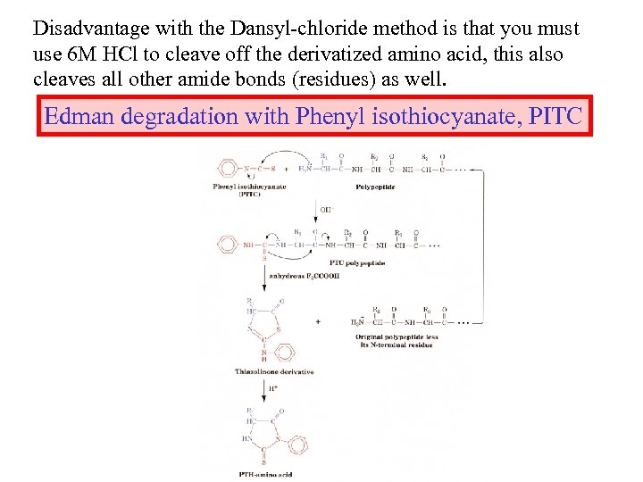 Disadvantage with the Dansyl-chloride method is that you must use 6 M HCl to