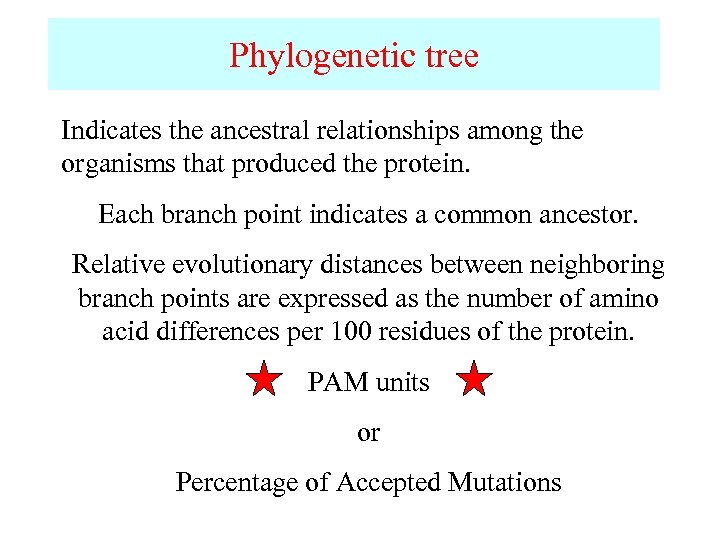 Phylogenetic tree Indicates the ancestral relationships among the organisms that produced the protein. Each