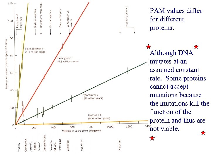 PAM values differ for different proteins. Although DNA mutates at an assumed constant rate.