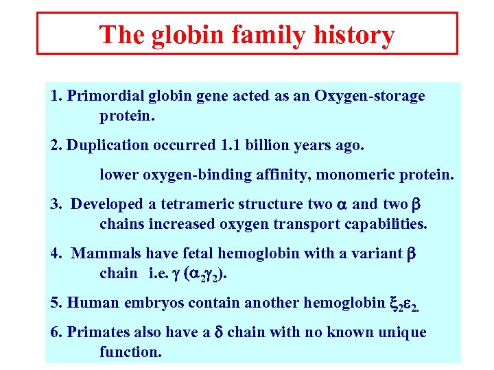 The globin family history 1. Primordial globin gene acted as an Oxygen-storage protein. 2.