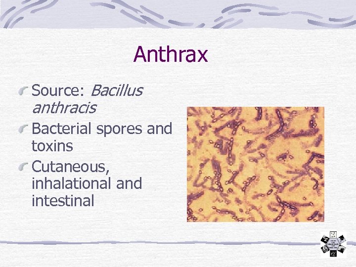 Anthrax Source: Bacillus anthracis Bacterial spores and toxins Cutaneous, inhalational and intestinal 