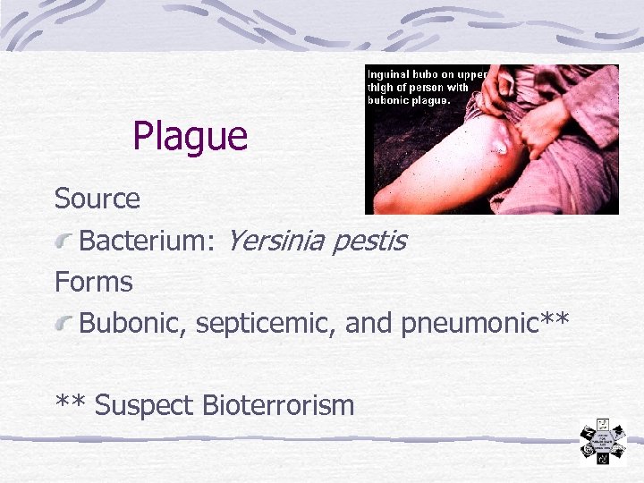 Plague Source Bacterium: Yersinia pestis Forms Bubonic, septicemic, and pneumonic** ** Suspect Bioterrorism 