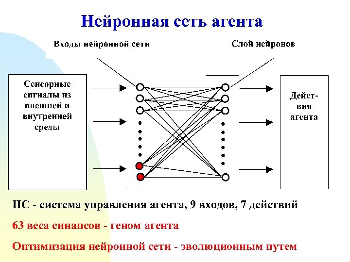 Нейронная сеть агента НС - система управления агента, 9 входов, 7 действий 63 веса