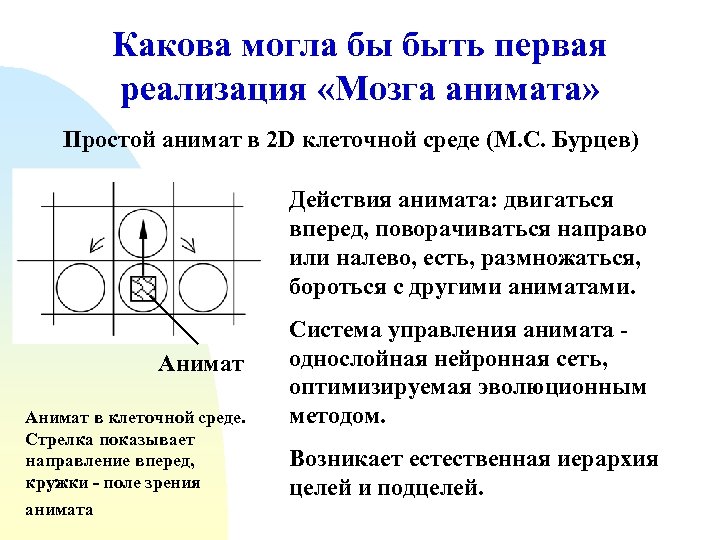Какова могла бы быть первая реализация «Мозга анимата» Простой анимат в 2 D клеточной