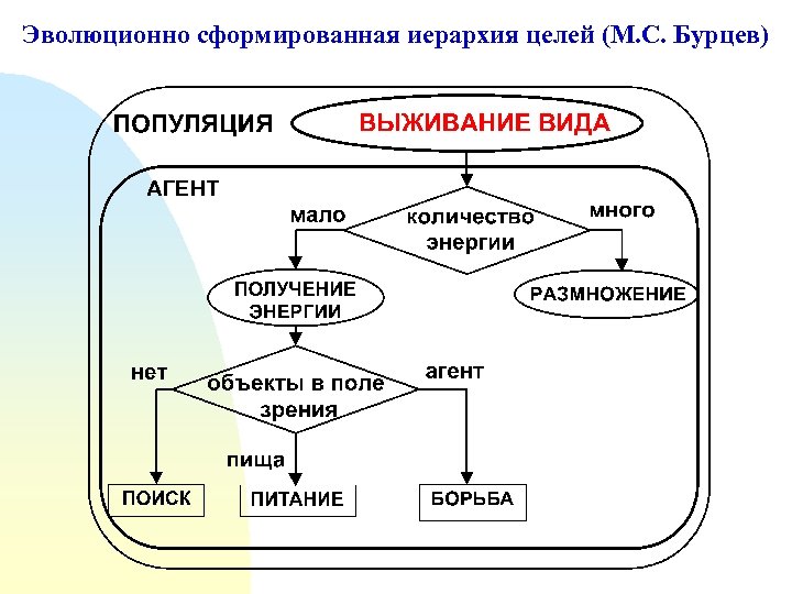 Эволюционно сформированная иерархия целей (М. С. Бурцев) 