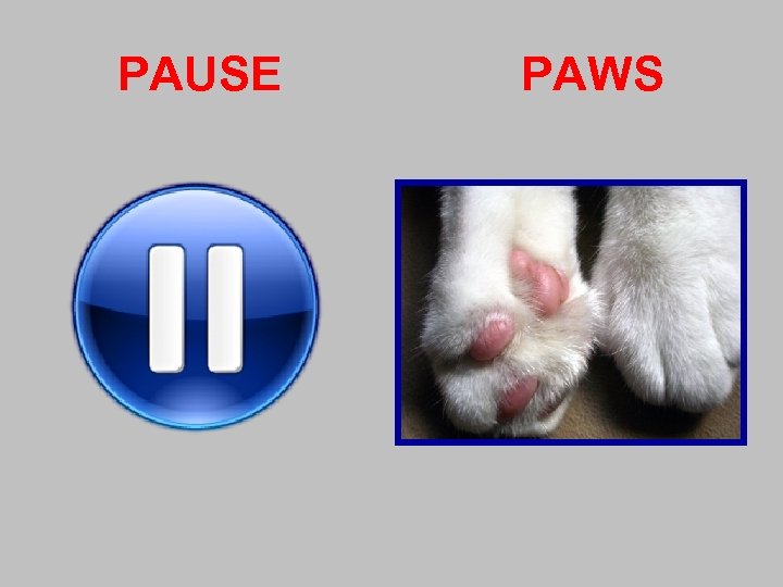 PAUSE PAWS 