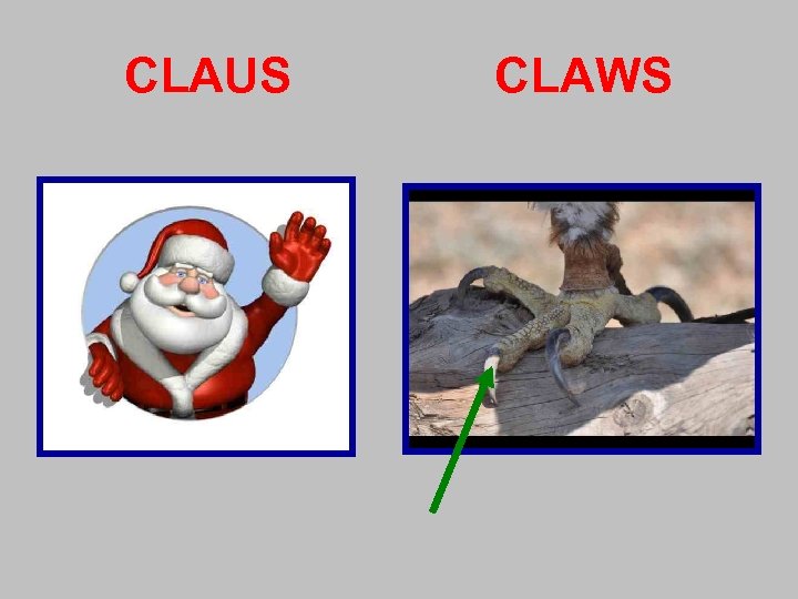 CLAUS CLAWS 