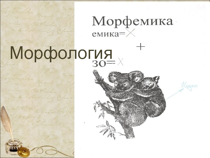 Морфология 