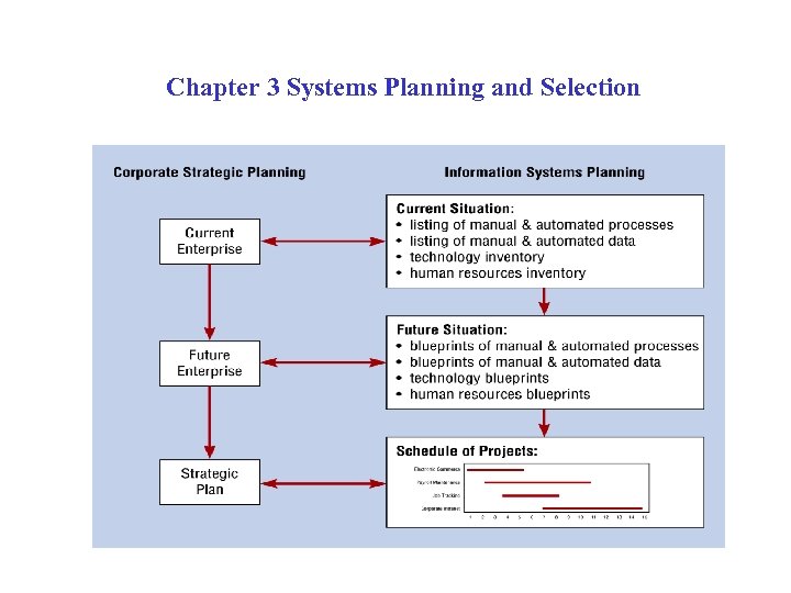 Chapter 3 Systems Planning and Selection 