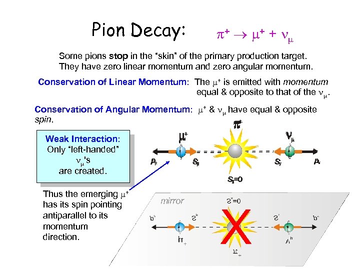 Pion Decay: + + + Some pions stop in the “skin” of the primary