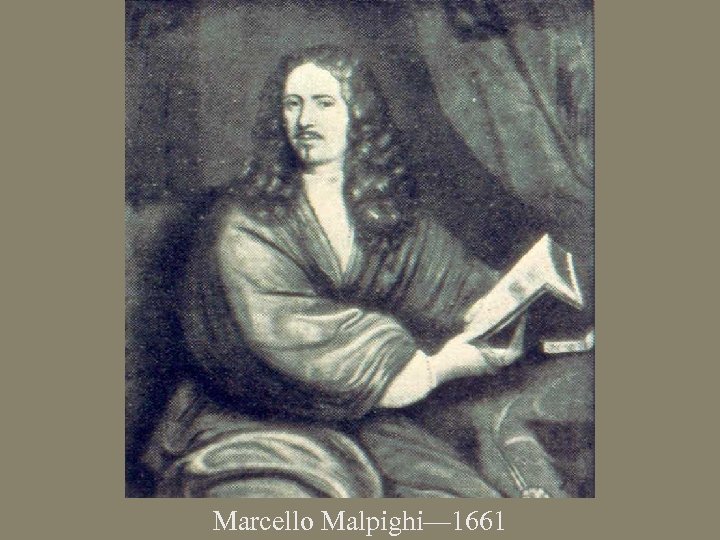 Marcello Malpighi— 1661 