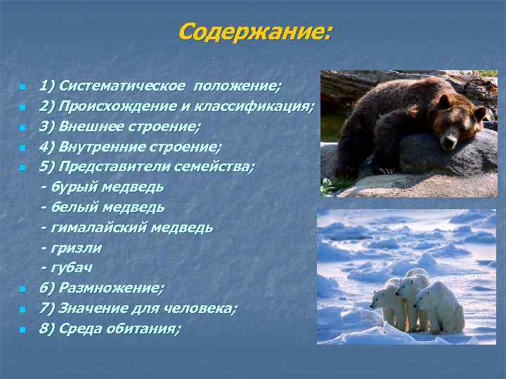 Содержание: 1) Систематическое положение; n 2) Происхождение и классификация; n 3) Внешнее строение; n
