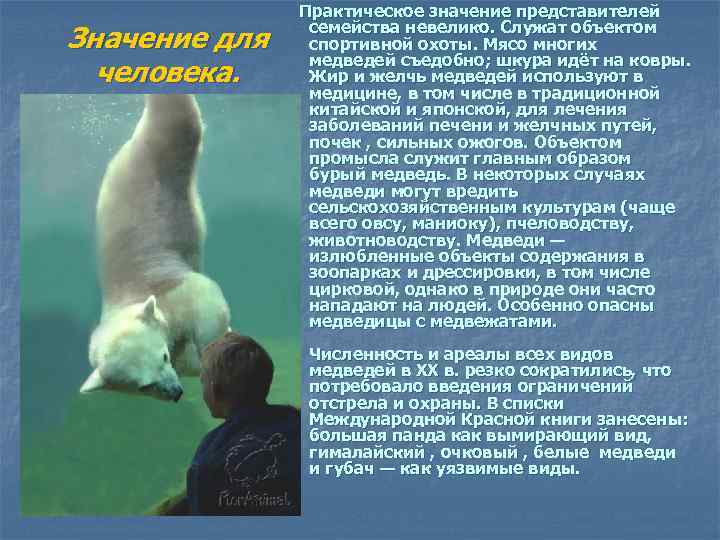 Значение для человека. Практическое значение представителей семейства невелико. Служат объектом спортивной охоты. Мясо многих
