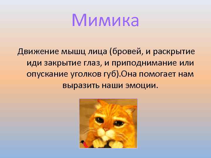 Мимика Движение мышц лица (бровей, и раскрытие иди закрытие глаз, и приподнимание или опускание