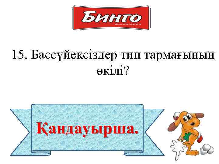 15. Бассүйексіздер тип тармағының өкілі? Қандауырша. 