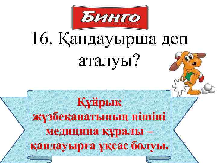 16. Қандауырша деп аталуы? Құйрық жүзбеқанатының пішіні медицина құралы – қандауырға ұқсас болуы. 