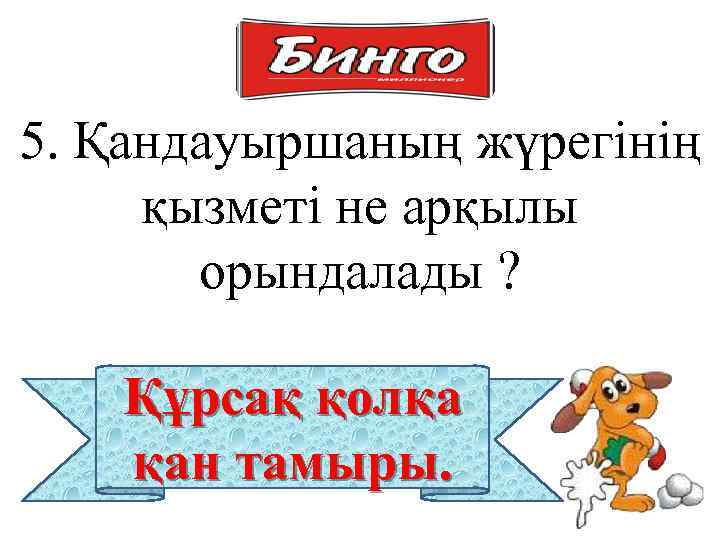 5. Қандауыршаның жүрегінің қызметі не арқылы орындалады ? Құрсақ қолқа қан тамыры. 