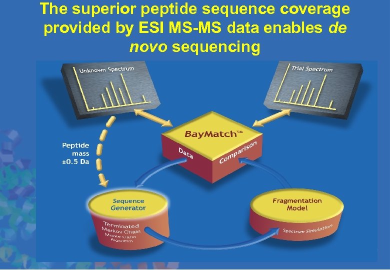 The superior peptide sequence coverage provided by ESI MS-MS data enables de novo sequencing