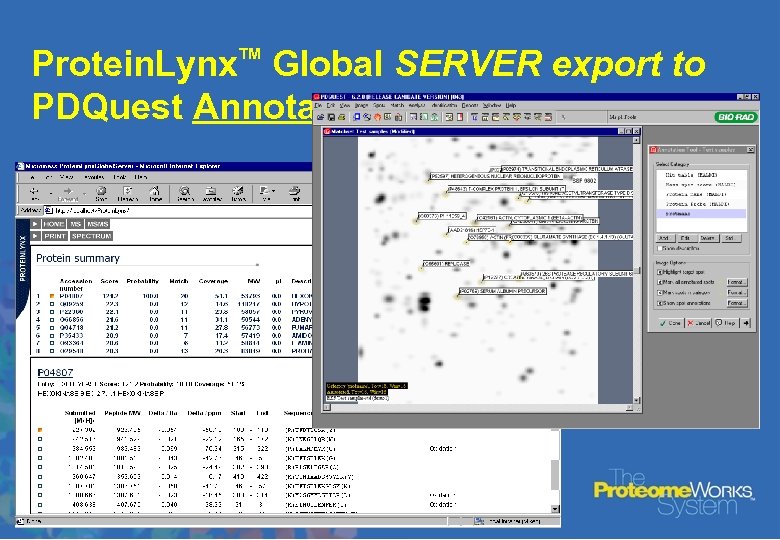 Protein. Lynx Global SERVER export to PDQuest Annotation Tools TM 