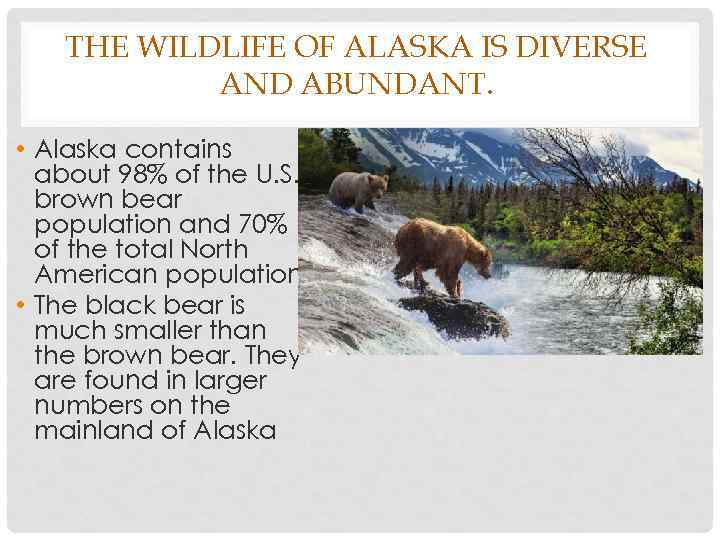 THE WILDLIFE OF ALASKA IS DIVERSE AND ABUNDANT. • Alaska contains about 98% of