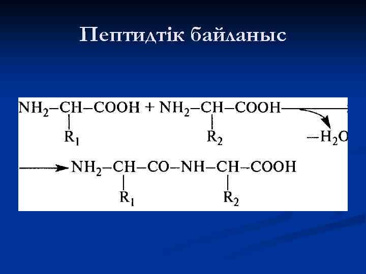 Пептидтік байланыс 