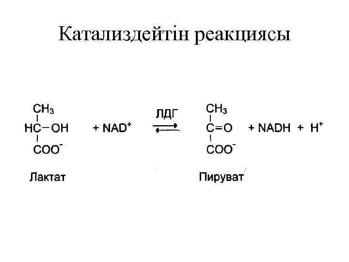 Катализдейтін реакциясы 