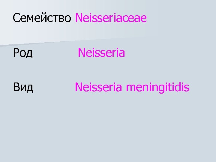 Семейство Neisseriaceae Род Neisseria Вид Neisseria meningitidis 