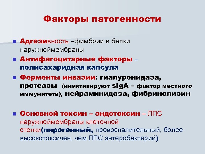 Факторы патогенности Адгезивность –фимбрии и белки наружноймембраны n Антифагоцитарные факторы – полисахаридная капсула n