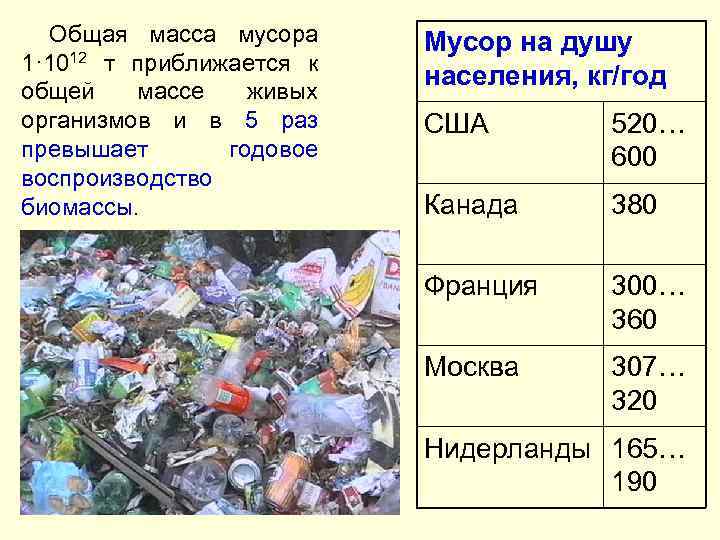 Общая масса мусора 1· 1012 т приближается к общей массе живых организмов и в