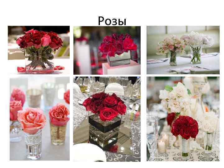 Розы 