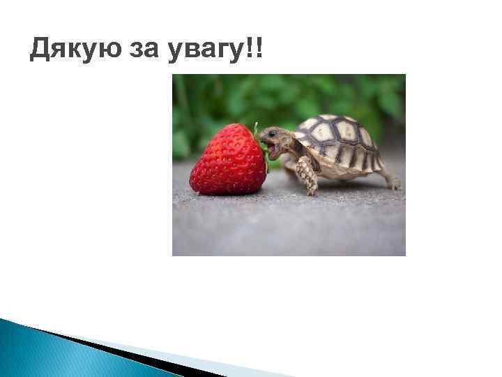 Дякую за увагу!! 