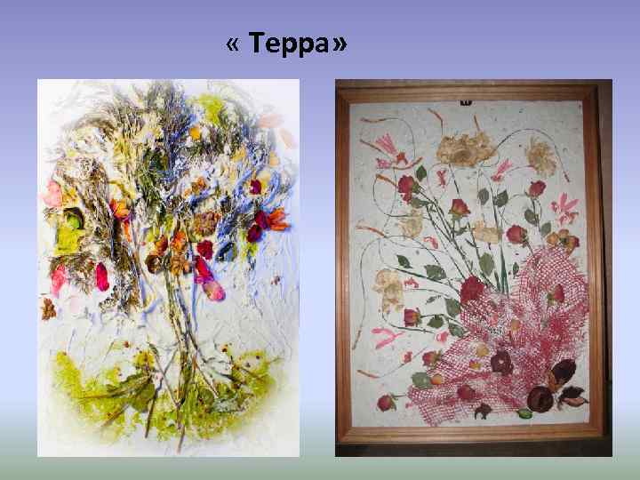  « Терра» 