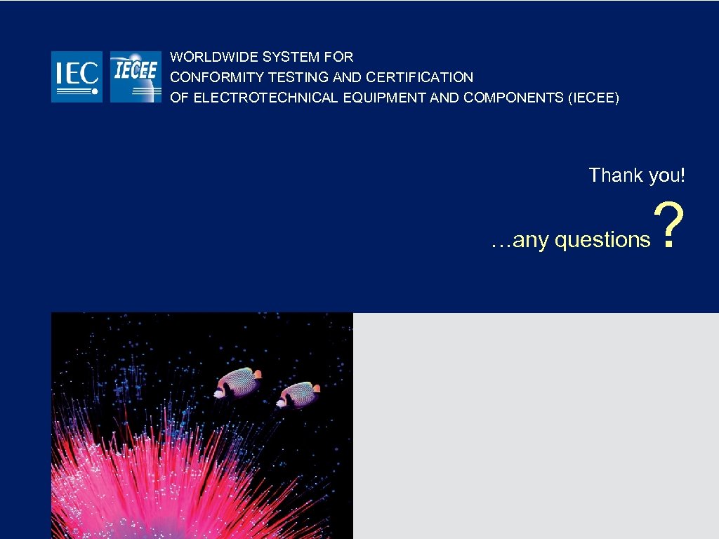 WORLDWIDE SYSTEM FOR CONFORMITY TESTING AND CERTIFICATION OF ELECTROTECHNICAL EQUIPMENT AND COMPONENTS (IECEE) Thank