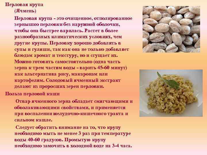 Перловая крупа (Ячмень) Перловая крупа - это очищенное, отполированное зернышко перловки без наружной оболочки,