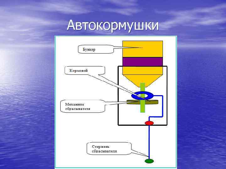 Автокормушки 