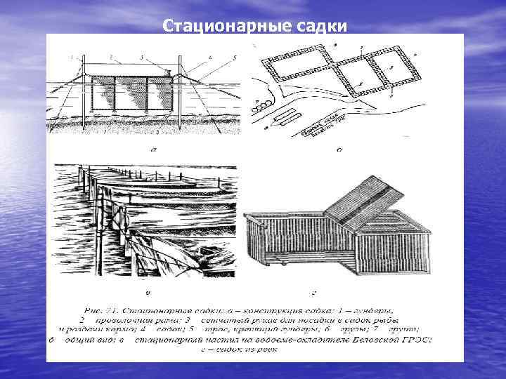 Схема рыбоводного хозяйства