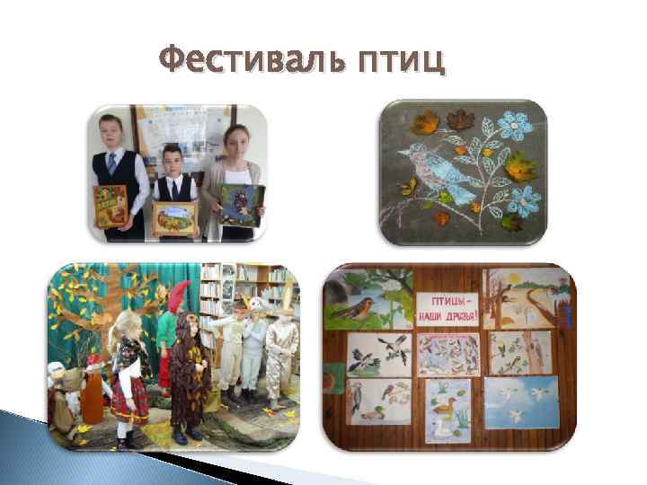 Фестиваль птиц 