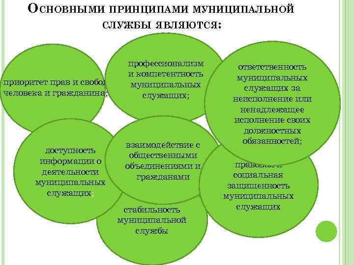 Принципы государственной гражданской и муниципальной службы презентация