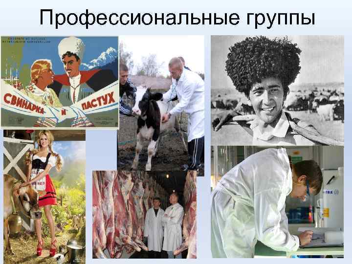 Профессиональные группы 