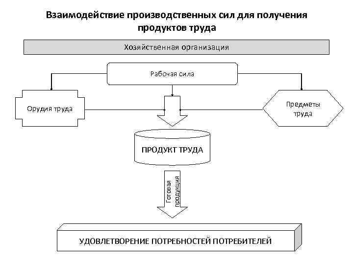 Взаимодействие производственных сил для получения продуктов труда Хозяйственная организация Рабочая сила Предметы труда Орудия