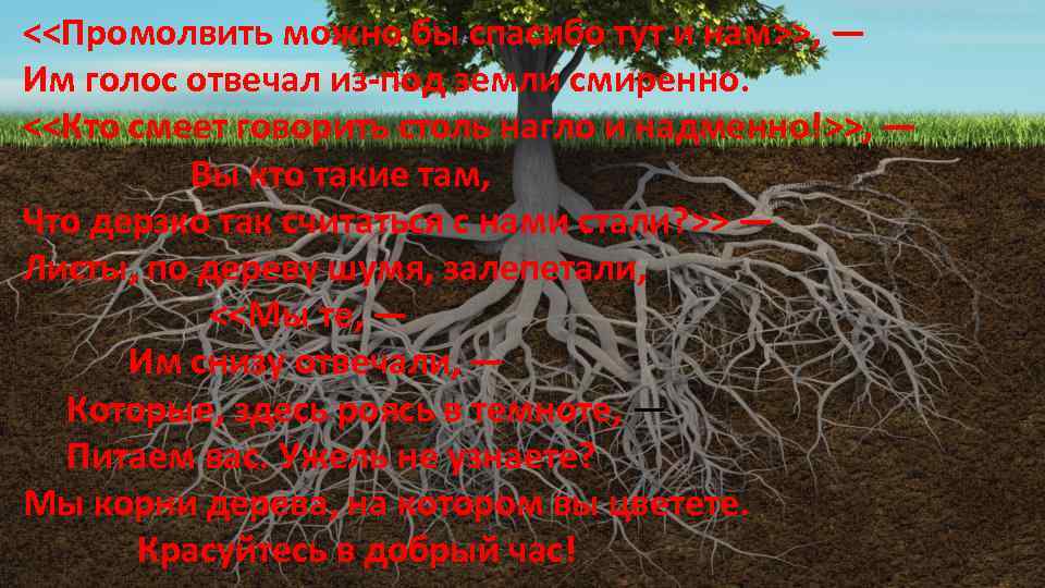 <<Промолвить можно бы спасибо тут и нам>>, — Им голос отвечал из-под земли смиренно.
