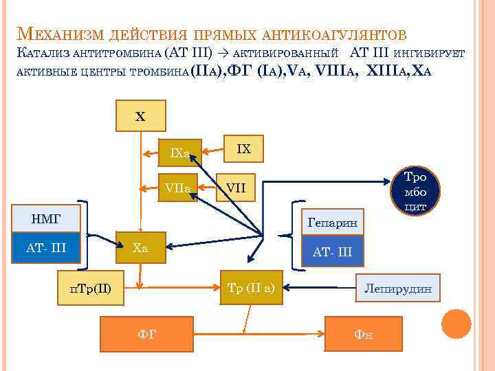 МЕХАНИЗМ ДЕЙСТВИЯ ПРЯМЫХ АНТИКОАГУЛЯНТОВ КАТАЛИЗ АНТИТРОМБИНА (AT III) → АКТИВИРОВАННЫЙ AT III ИНГИБИРУЕТ АКТИВНЫЕ