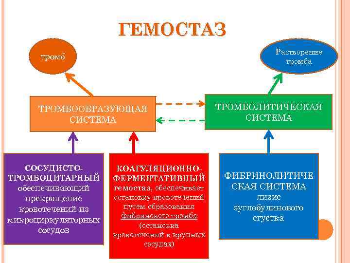 ГЕМОСТАЗ Растворение тромба тромб ТРОМБООБРАЗУЮЩАЯ СИСТЕМА СОСУДИСТОТРОМБОЦИТАРНЫЙ обеспечивающий прекращение кровотечений из микроциркуляторных сосудов КОАГУЛЯЦИОННОФЕРМЕНТАТИВНЫЙ