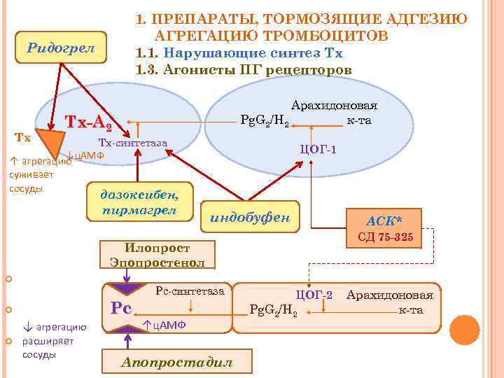 1. ПРЕПАРАТЫ, ТОРМОЗЯЩИЕ АДГЕЗИЮ АГРЕГАЦИЮ ТРОМБОЦИТОВ 1. 1. Нарушающие синтез Тх 1. 3. Агонисты
