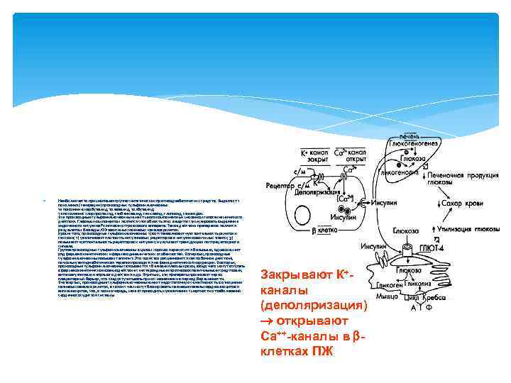  Наиболее часто применяемая группа синтетических противодиабетических средств. Выделяют 2 поколения (генерации) производных сульфонилмочевины: