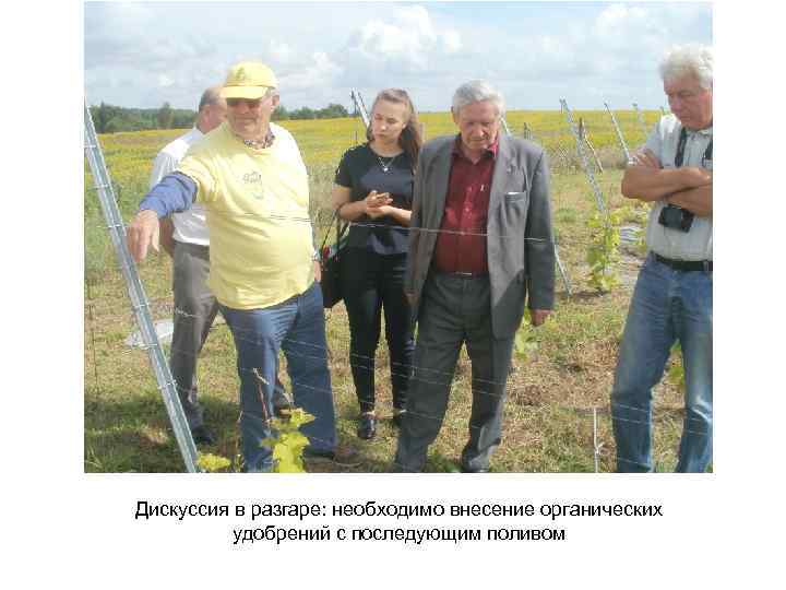 Дискуссия в разгаре: необходимо внесение органических удобрений с последующим поливом 