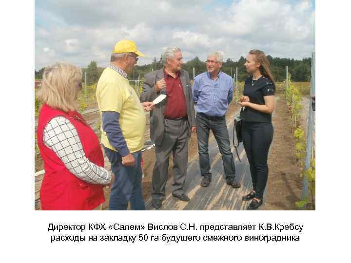 Директор КФХ «Салем» Вислов С. Н. представляет К. В. Кребсу расходы на закладку 50